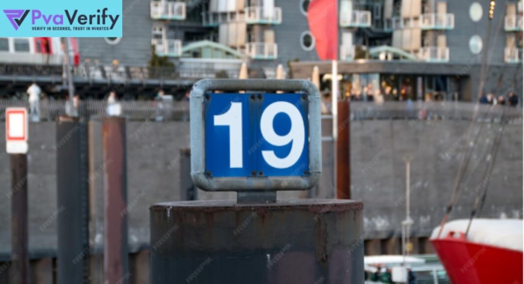 phone verification number