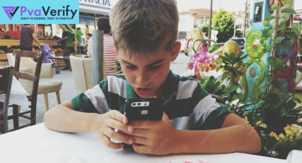 USA Number for Verification